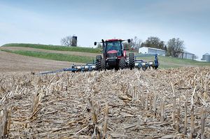 Planting in spring on field with corn stalks