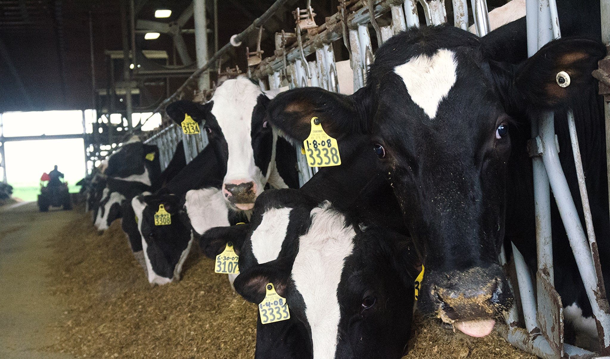 2024 dairy margin coverage program now open for sign up proag