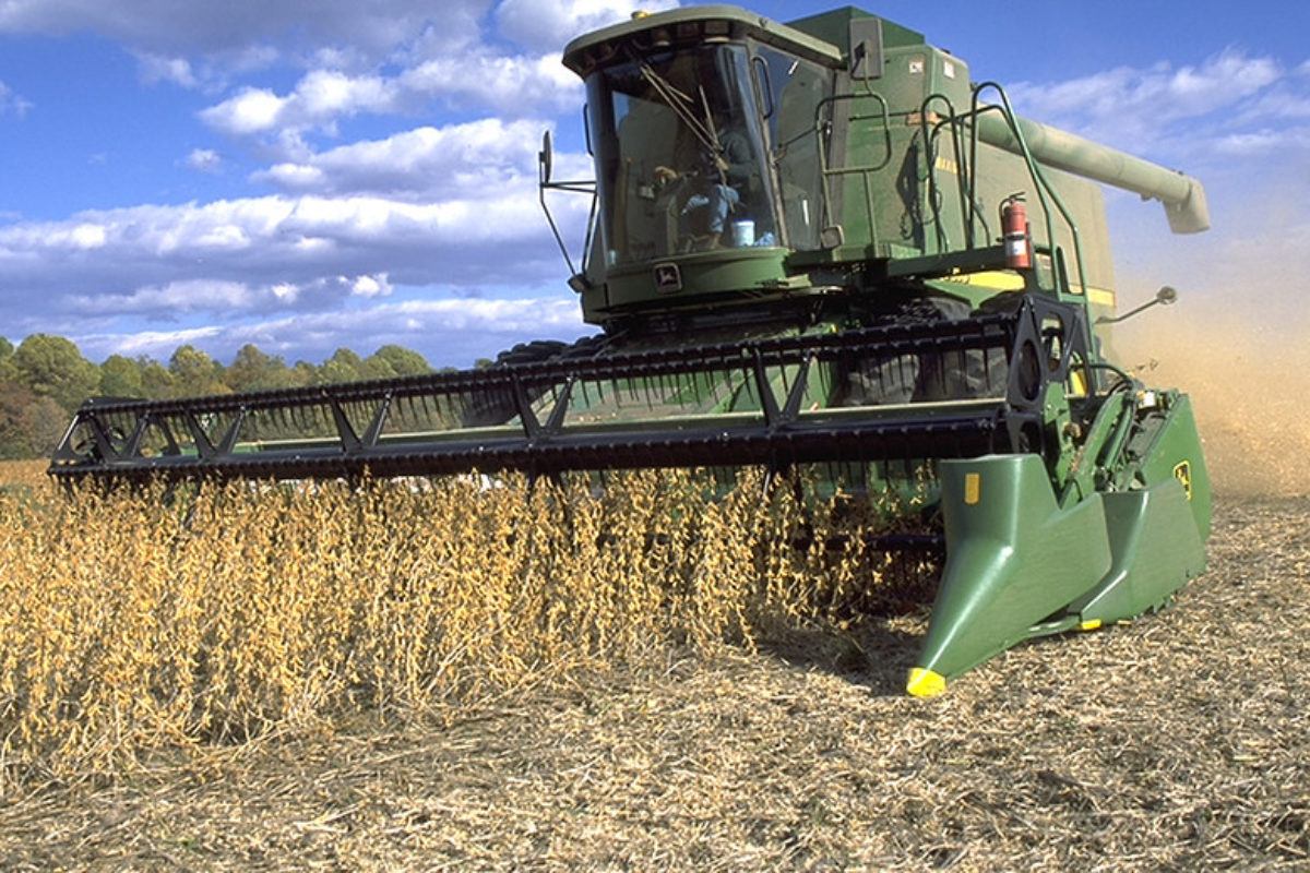 Soybean Harvest
