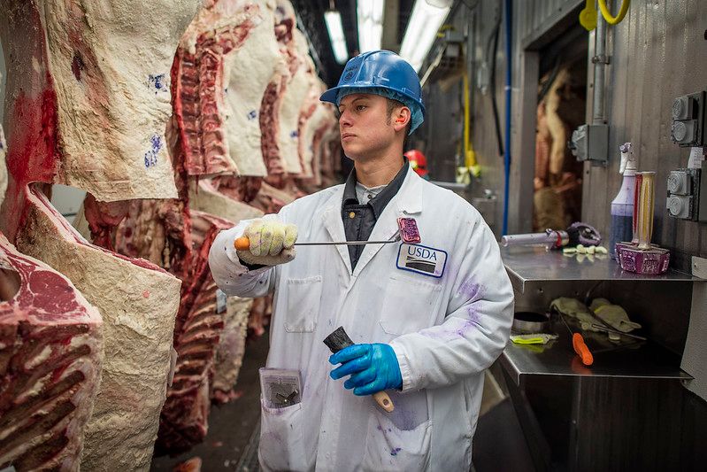 Beef inspection