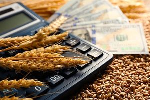 Calculator on top of money and grain
