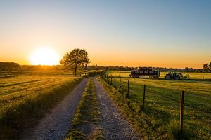 Hay pasture at sunset with tractor in distance