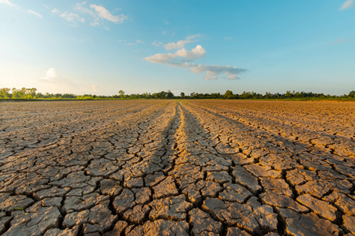 Field cracked and dry because of drought