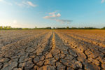 Field cracked and dry because of drought