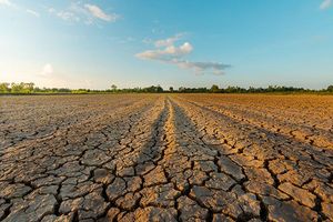 Field cracked and dry because of drought