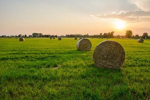 Hay bales on pasture at sunset