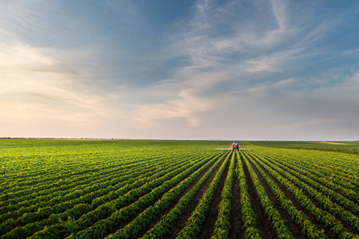 Sprayer in soybean field on sunny day