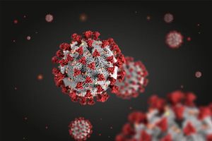 Coronavirus COVID-19 virus model