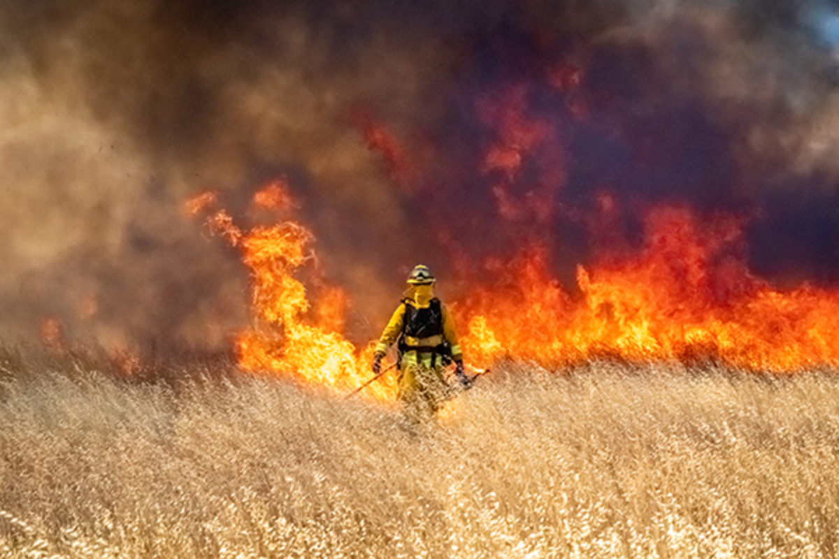 Firefighter walking towards wildfire in prairie grass