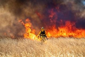 Firefighter walking towards wildfire in prairie grass