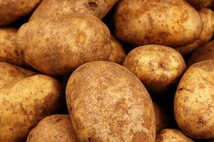 Closeup of potatoes