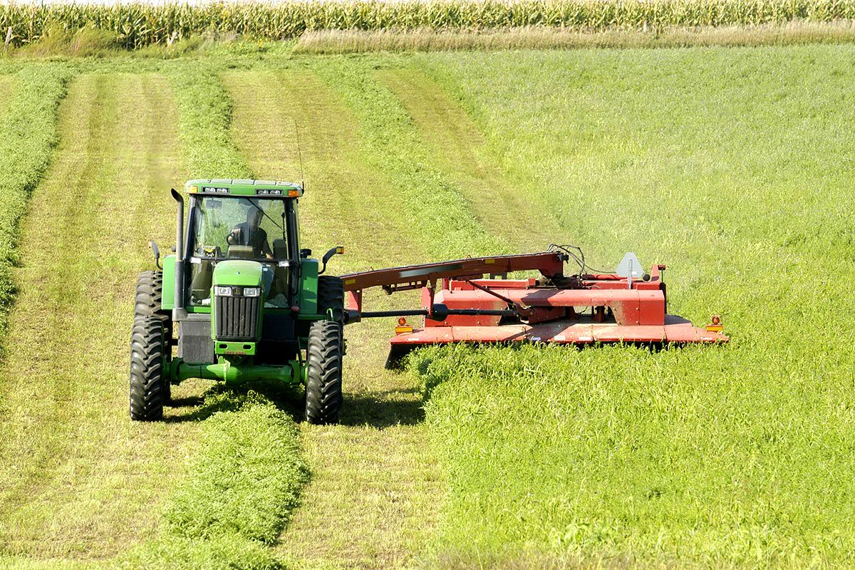 Rain Impacts Forage Quality - ProAg