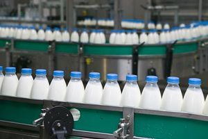 Milk bottling plant