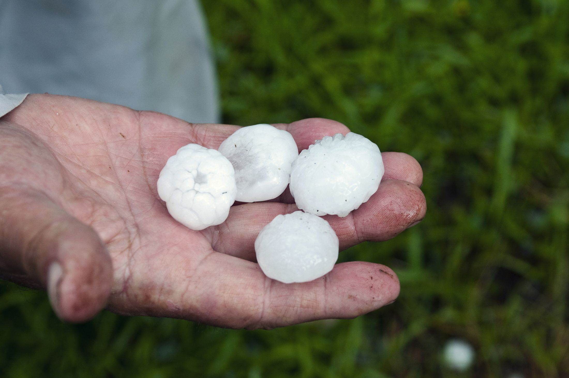 ProWxAlerts from your trusted crop insurance provider ProAg