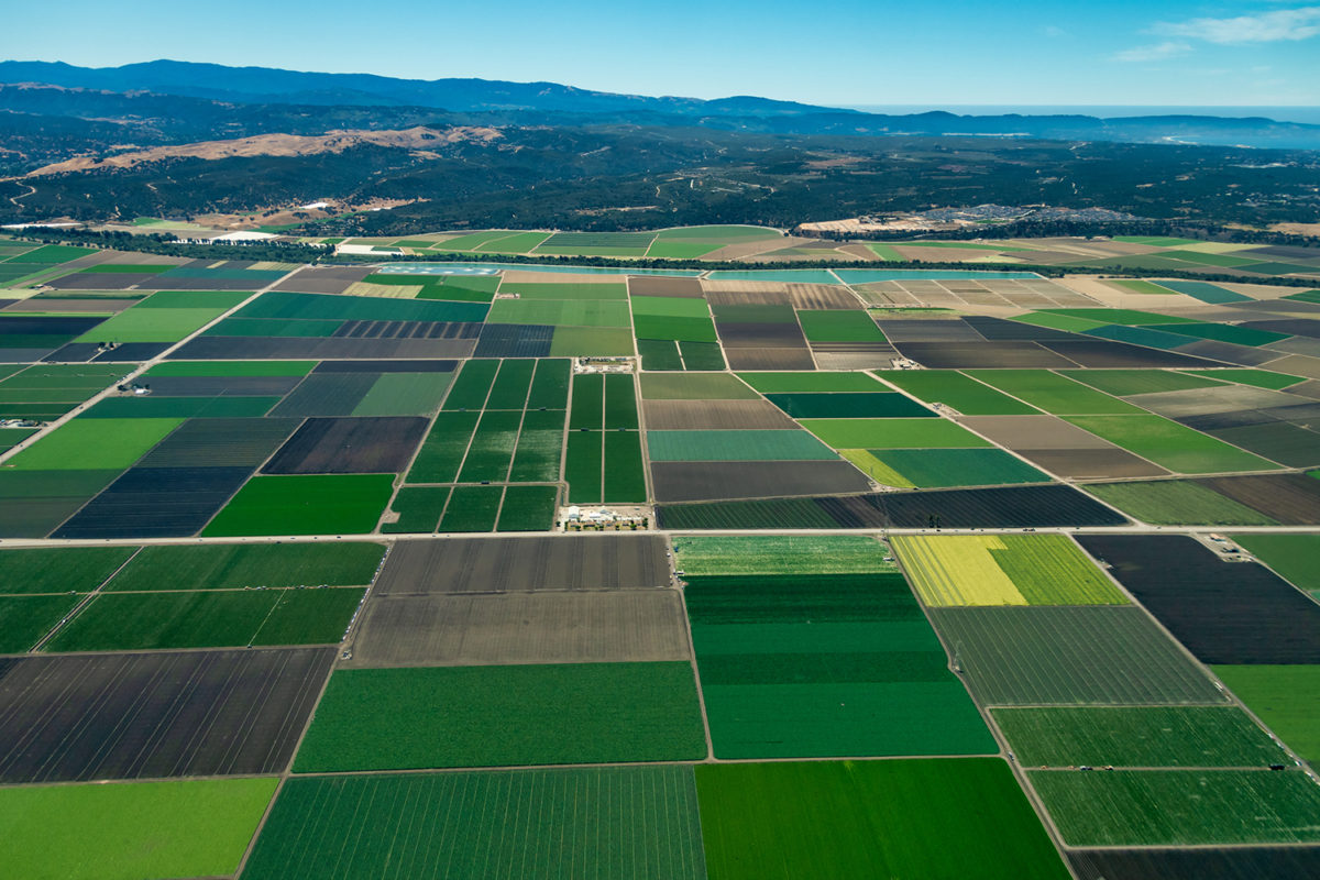 Aerial landscape photo of green, yellow, and brown fields.