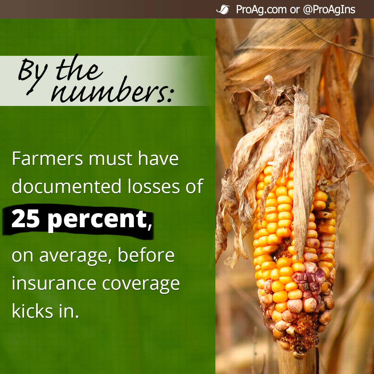 Crop Insurance Social Share March 2017 ProAg