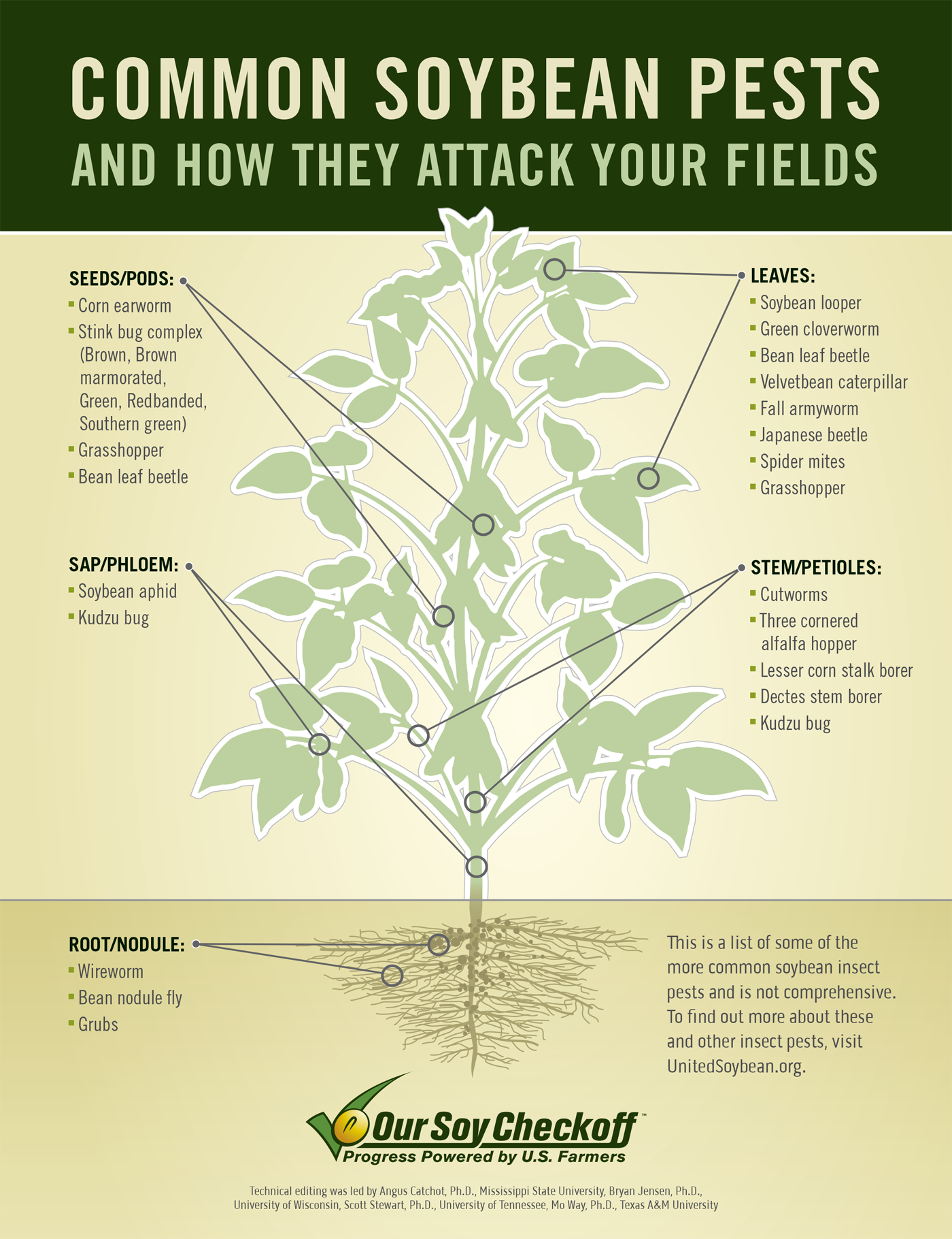 Common Soybean Pests [Infographic] ProAg