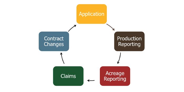 Crop Insurance Cycle 2018 07 05