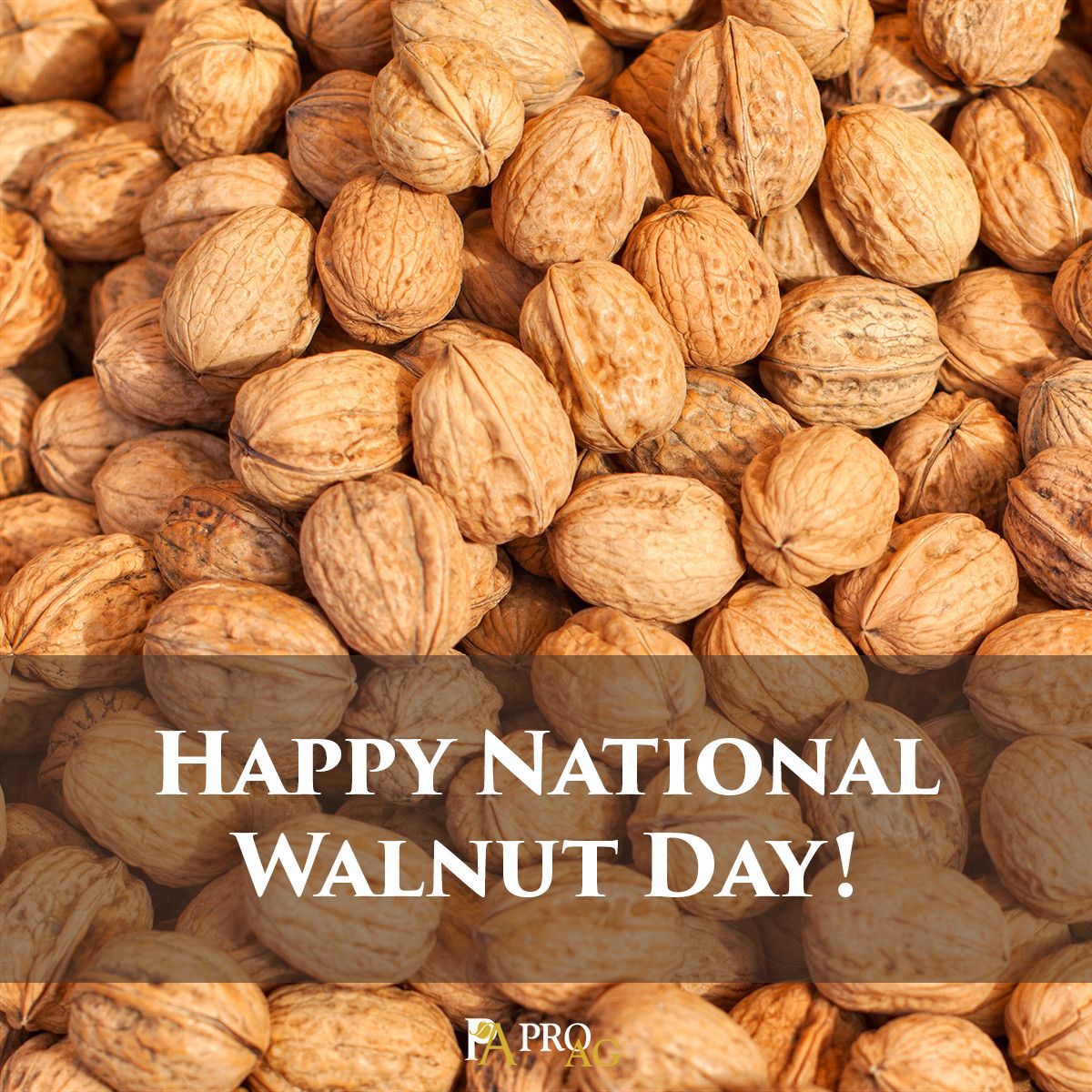 National Walnut Day May 17, 2016 ProAg