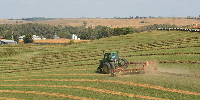 Rma Crop Insurance / Federal Crop Insurance Program