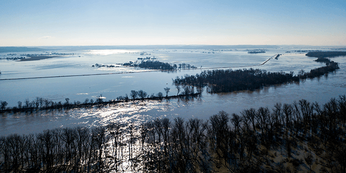 Floods Hit Ag Businesses Hard Proag