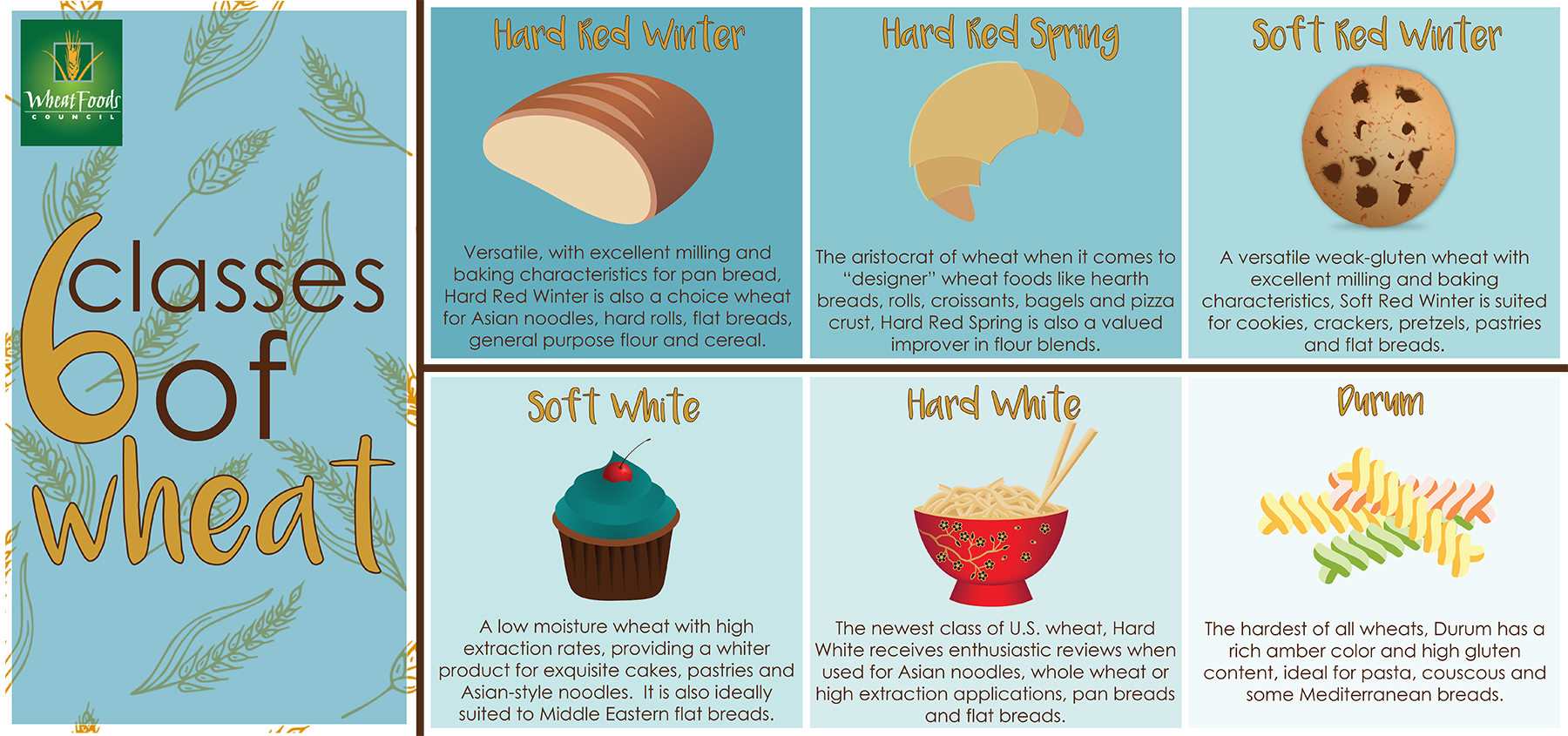 6 Classes of Wheat Infographic ProAg