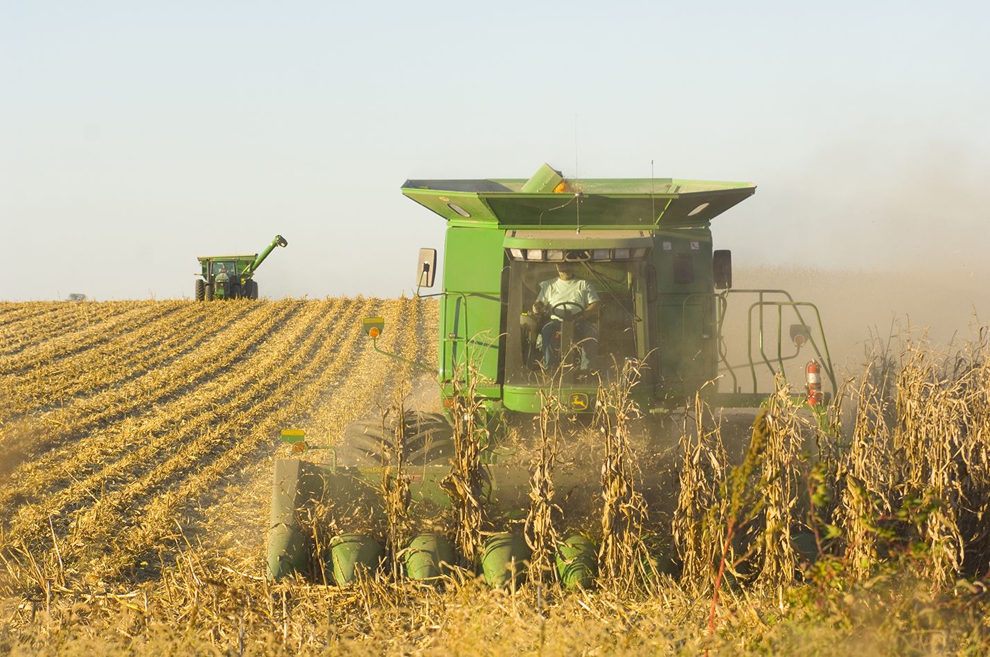 U.S. Corn Harvest Officially 'In the Homestretch' ProAg