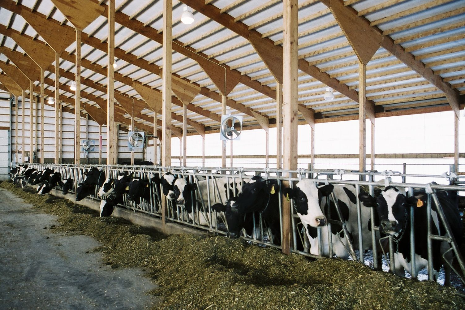 Minnesota Dairy Drain ProAg