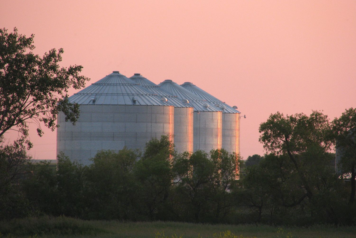 Grain Bin Demand Soars to Highest Levels in a Decade ProAg