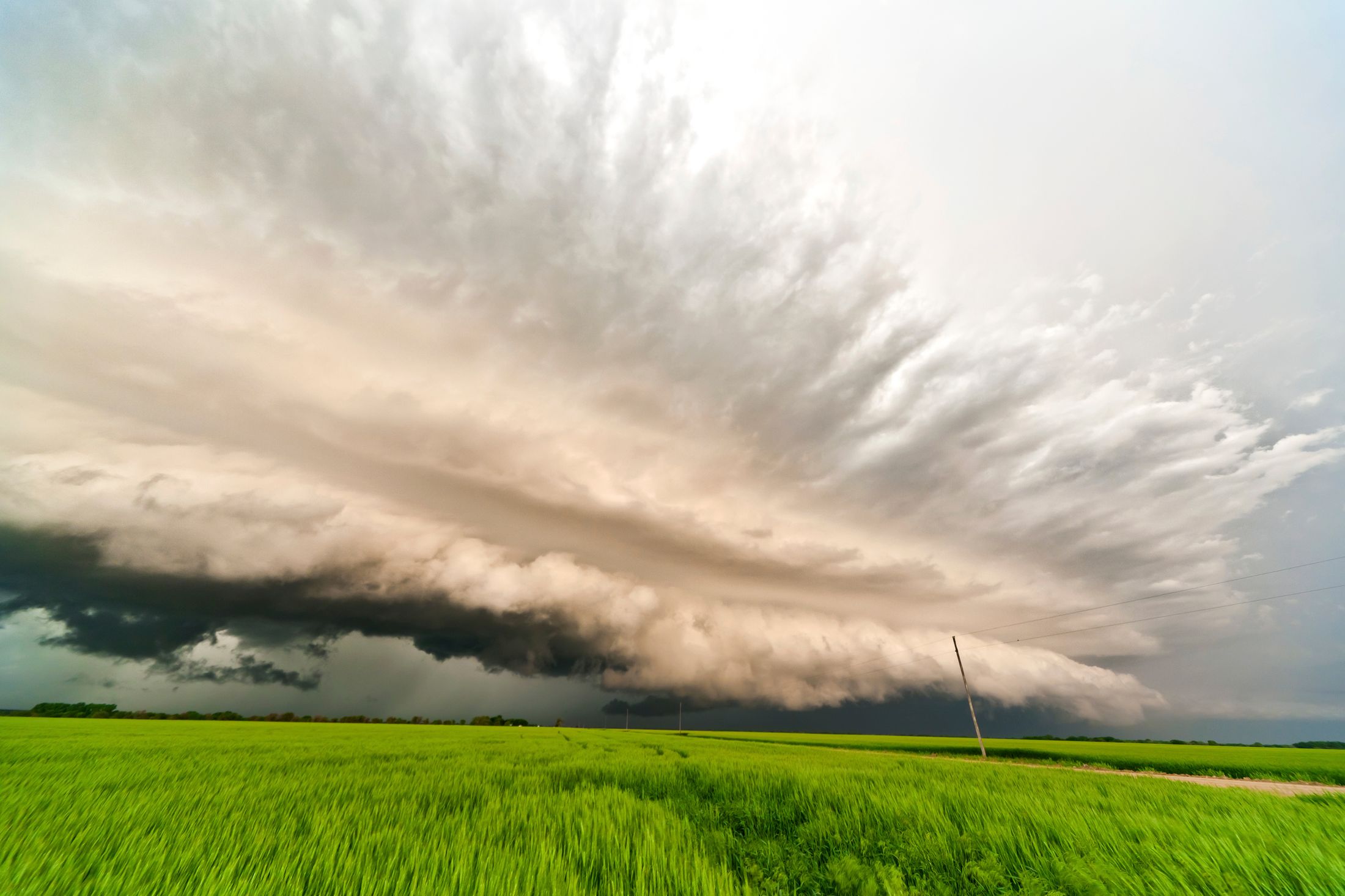 El Niño Unexpectedly Transitions to La Niña Summer 2024 ProAg