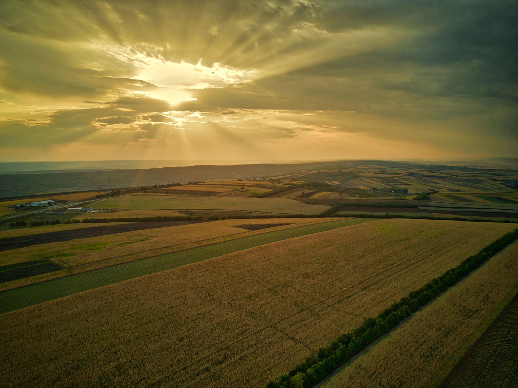 Aerial Corn Soybeans Sunset