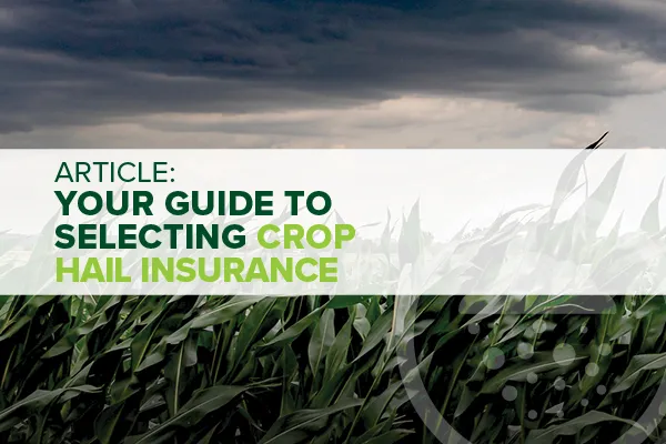 Five Questions To Ask Your Crop Insurance Agent When Selecting Crop Hail Insurance