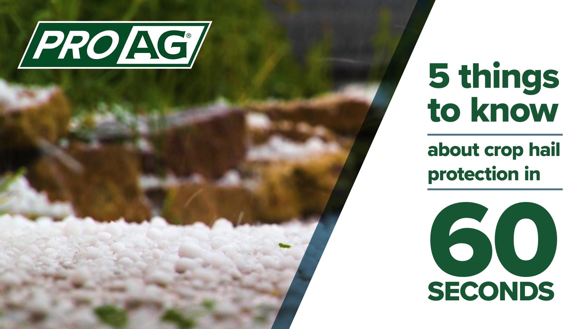 5 Things to Know About Crop Hail Insurance Protection in 60 Seconds