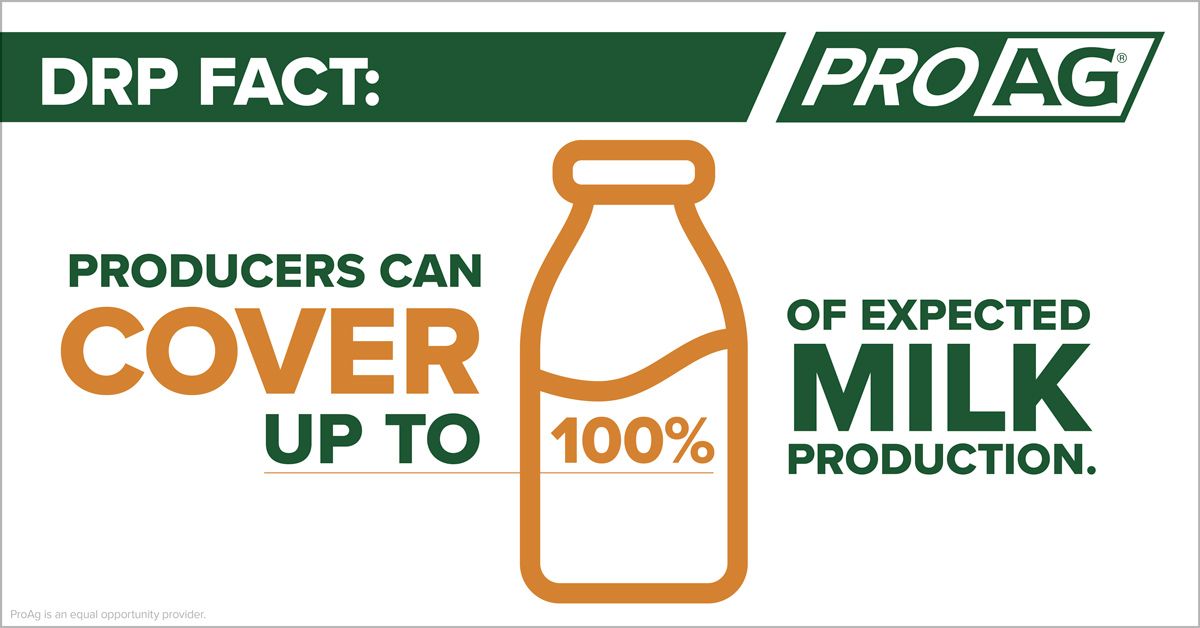 Infographic Dairy Revenue Protection Has Your Dairy Covered ProAg