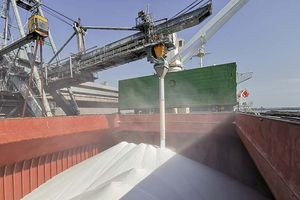 Urea Fertilizer being loaded into an export ship