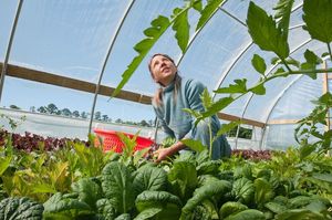 Woman tending to a microfarm