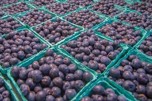 Blueberries in containers at market