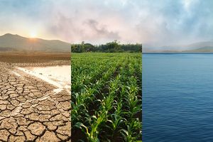 La Nina Weather showing drough field, lush field and ocean