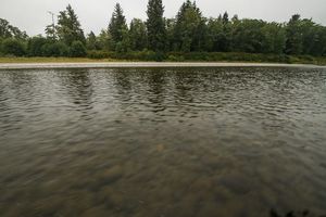 Low waters and underwater obstacles challenge in river