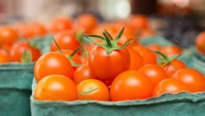 Cherry tomatoes