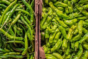 Chili peppers sorted for inspection