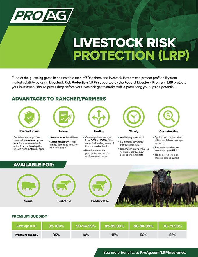 Livestock Infographic