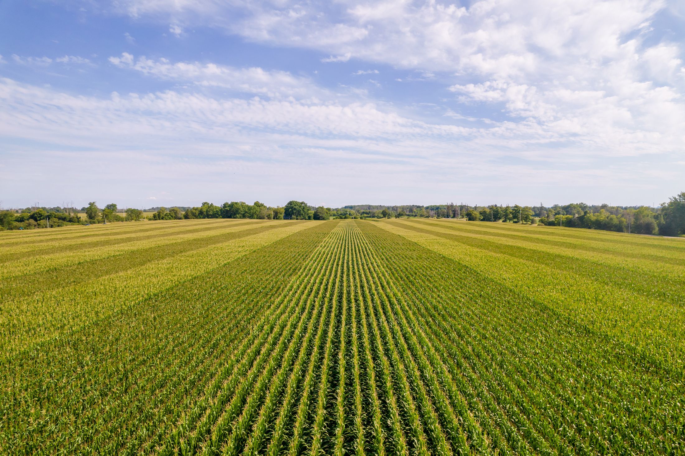 Crop Insurance Acronyms ProAg Crop Insurance Acronyms ProAg