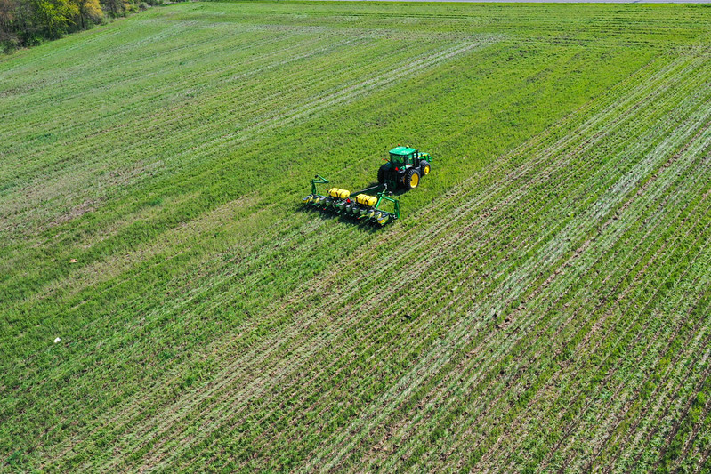 Cover crop