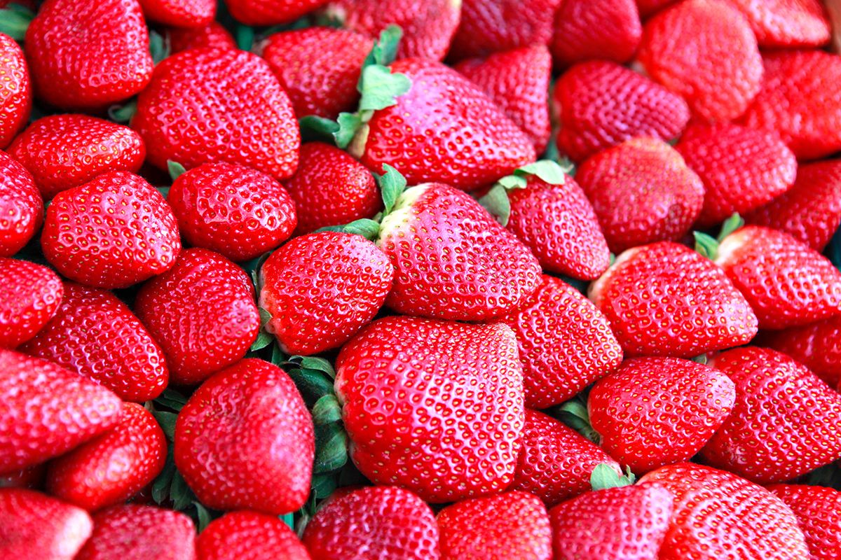 Red ripe strawberries