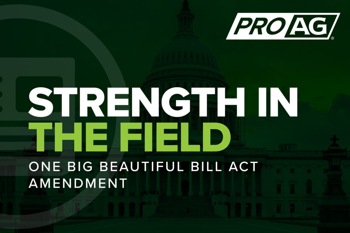 One Big Beautiful Bill Act (OBBBA) Amendment